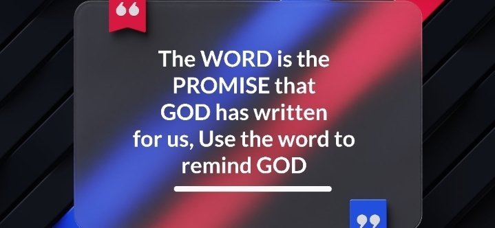 Tanzania Fellowship of Evangelical Students TAFES Muhimbili University of Health and Allied Sciences MUHAS Muhimbili University Fellowship of Evangelical Students MUFES Latest Blog Post Image